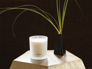 Apotheke 11oz single wick Amber Woods candle in jar next to a plant in a small black vase a little taller than candle on a hexagonal pedestal with black background.