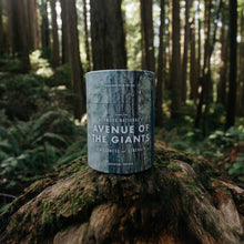 Load image into Gallery viewer, NATIONAL PARK CANDLE | Humboldt Redwoods State Park | Avenue of The Giants
